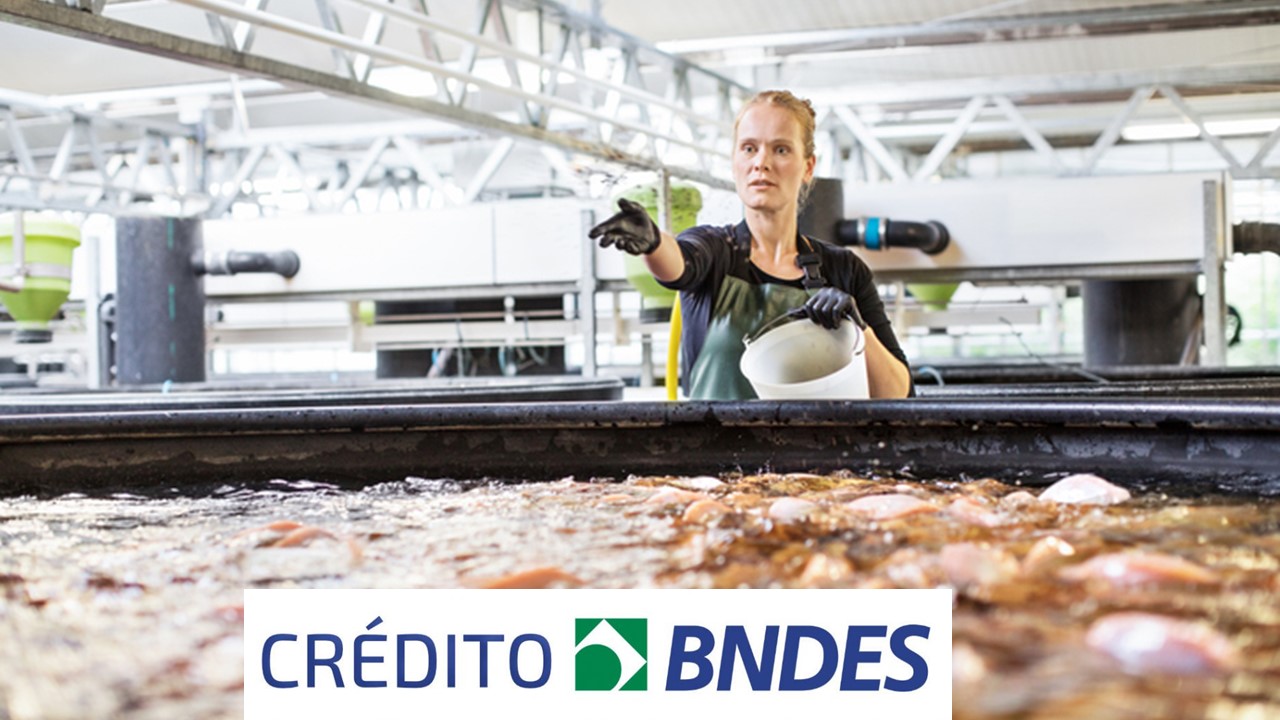 BNDES Crédito Rural